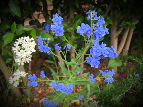 rblog-20160528224442-07.jpg