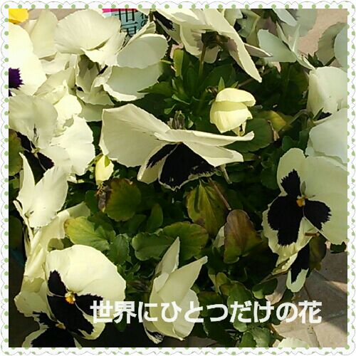 rblog-20160403183937-00.jpg
