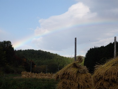 PA270010.JPG