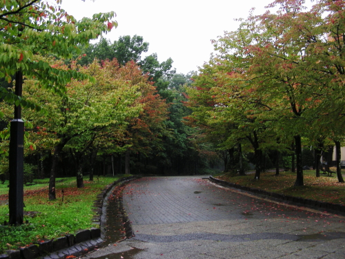 2017-09-12mori (2).JPG