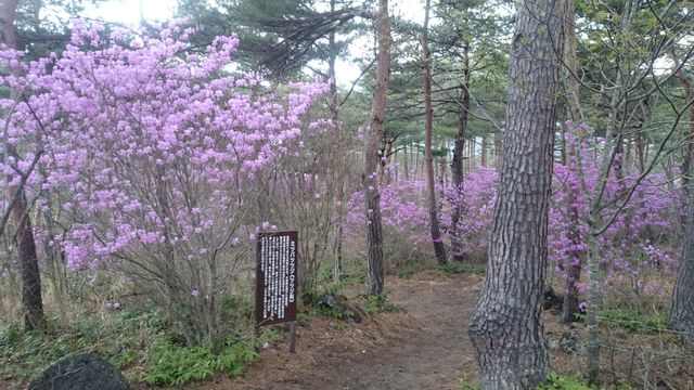 2015-04-25 13.42.17.jpg