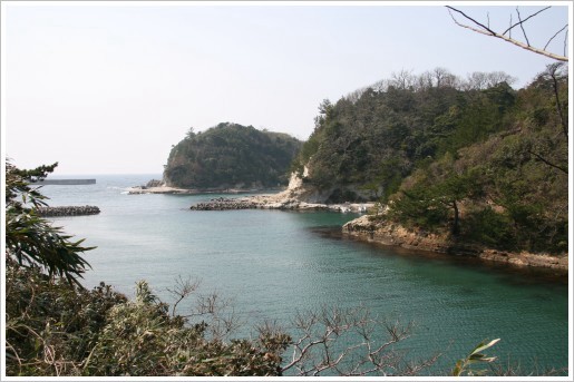 沖泊14