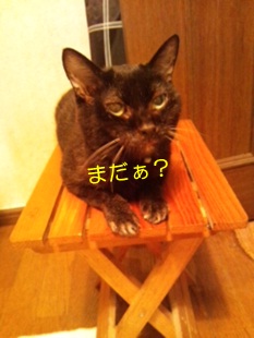 20120711_3.jpg