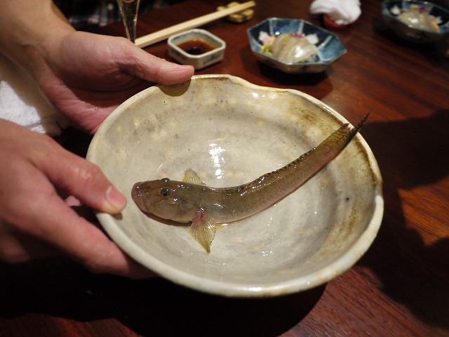 P1200349.jpg