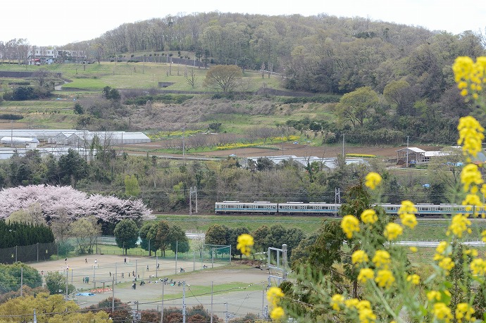 小田急線-12