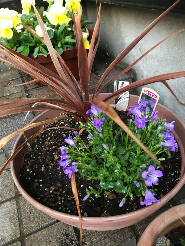 rblog-20180328191417-09.jpg