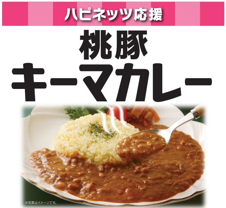 キーマカレー.jpg