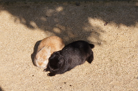 2016_0103正月、淡路島家族旅行0093.JPG