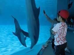 名古屋港水族館3.jpg