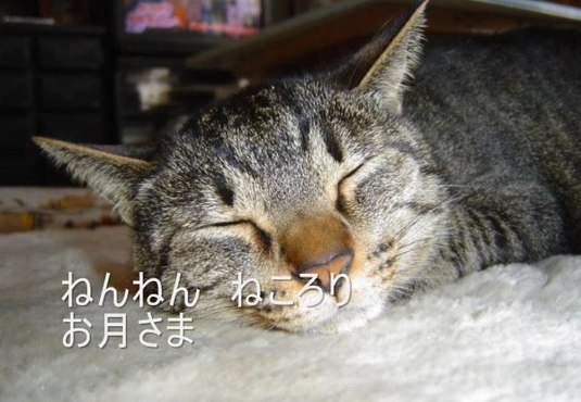 ねんねん　ねころり　お月さま