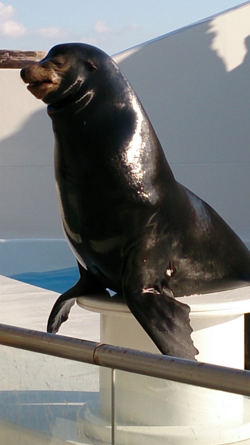 DSC_0711_R.jpg