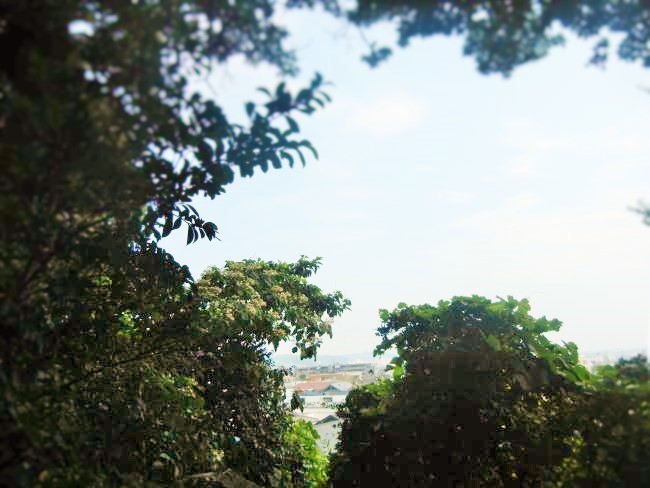 DSCN6054.JPG