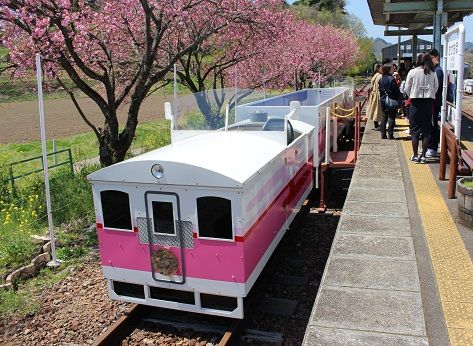 熊本 宮崎の旅 18 04 08 あまてらす高千穂鉄道 グランドスーパーカート ポチの徒然日記 楽天ブログ