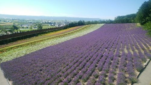 rblog-20180728082751-02.jpg