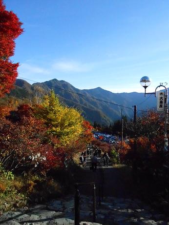 DSCN0658.jpg