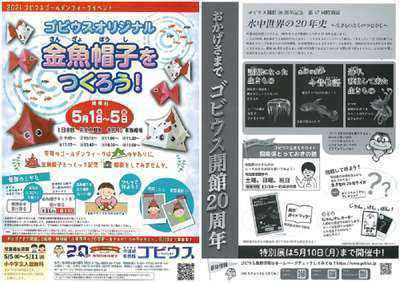 宍道湖自然館ゴビウス イベント案内 なにわ一水のだんだんブログ 楽天ブログ