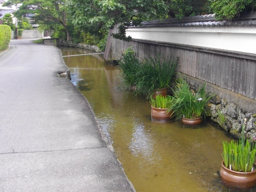 川島藍場川 (3) (500x375).jpg