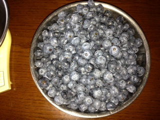 新鮮！生のブルーベリー！