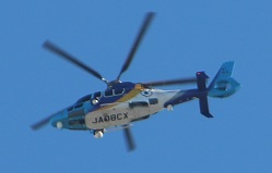 IMG_8499-2.jpg