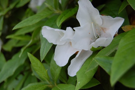 DSC_0857.jpg