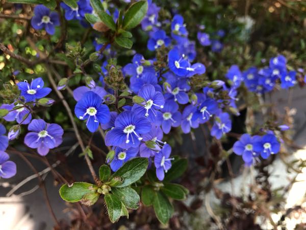 rblog-20180324163010-08.jpg