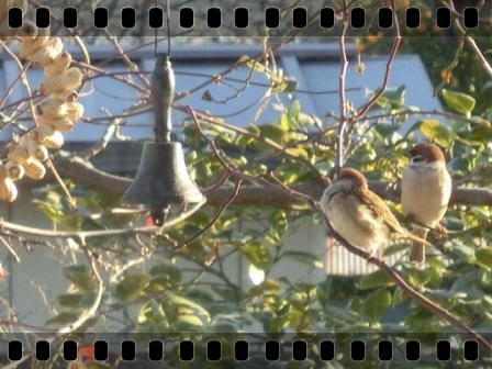 ピーナッツリース