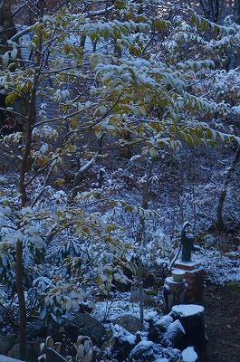 白馬の秋2013 023.jpg