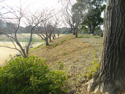 柳川城天守台土塁2 (500x375).jpg