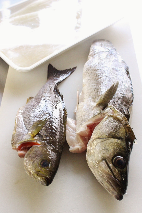 鱸　イサキ　ケンサキイカ.jpg