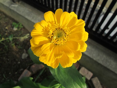 IMG_1534.jpg