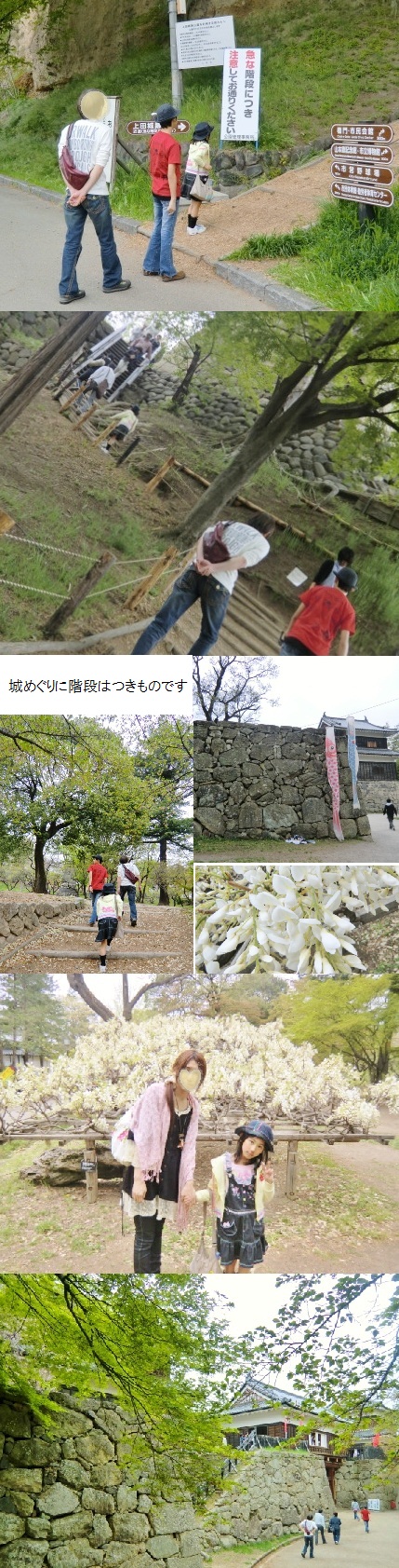 2011.5uedajyou3.jpg