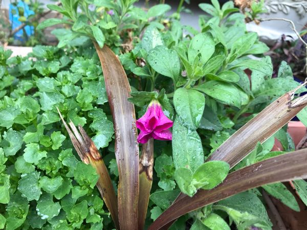 rblog-20190426180748-08.jpg
