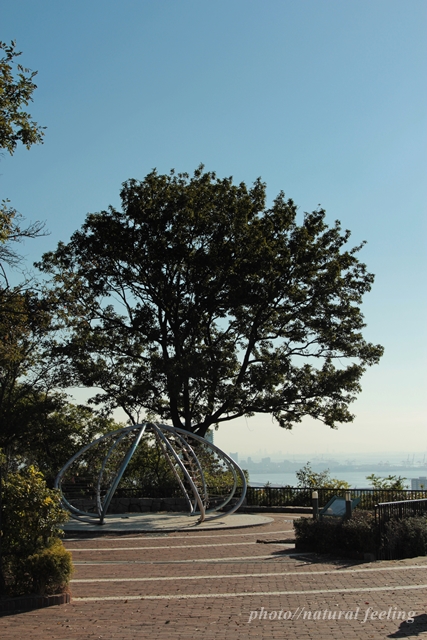 神戸諏訪山公園愛の鍵4.JPG