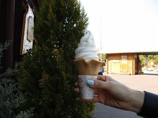 IMG_8064ss.jpg