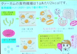 サンファイバー03.jpg