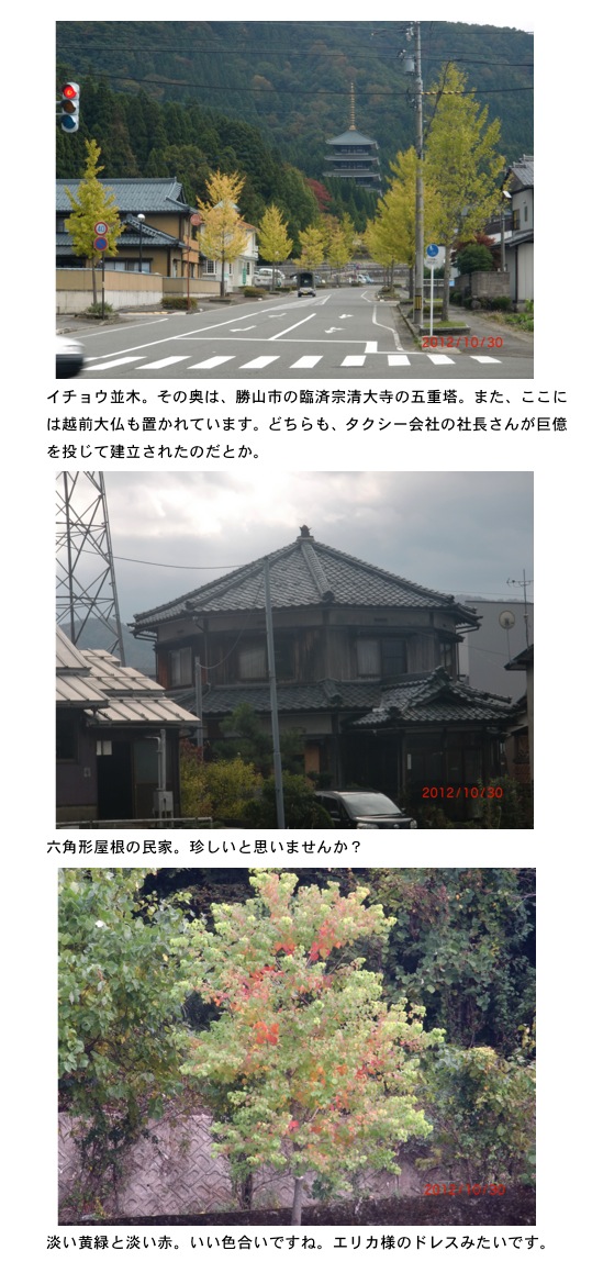 2012.10.31-3.jpg