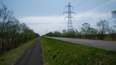 釧路湿原17kmジョギングコース 21年まで限定 道草日記 旅 釣り ワイン 楽天ブログ