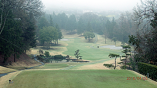 P4053144h3.jpg