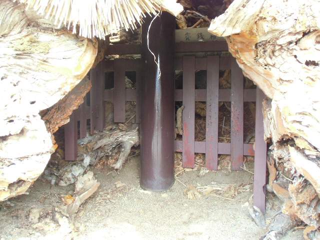 CIMG0258.jpg