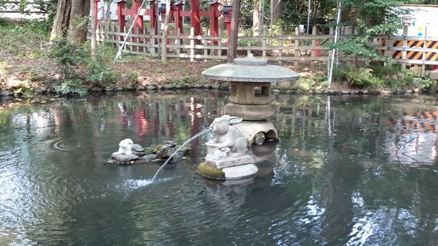 2015-07-12 14.24.37.jpg