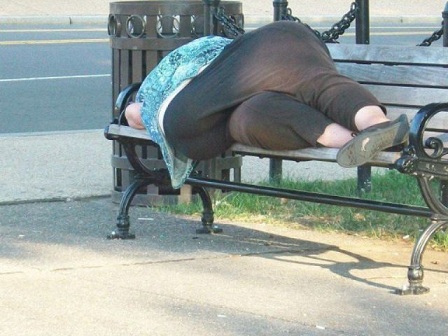 bench