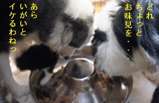 ママたちも