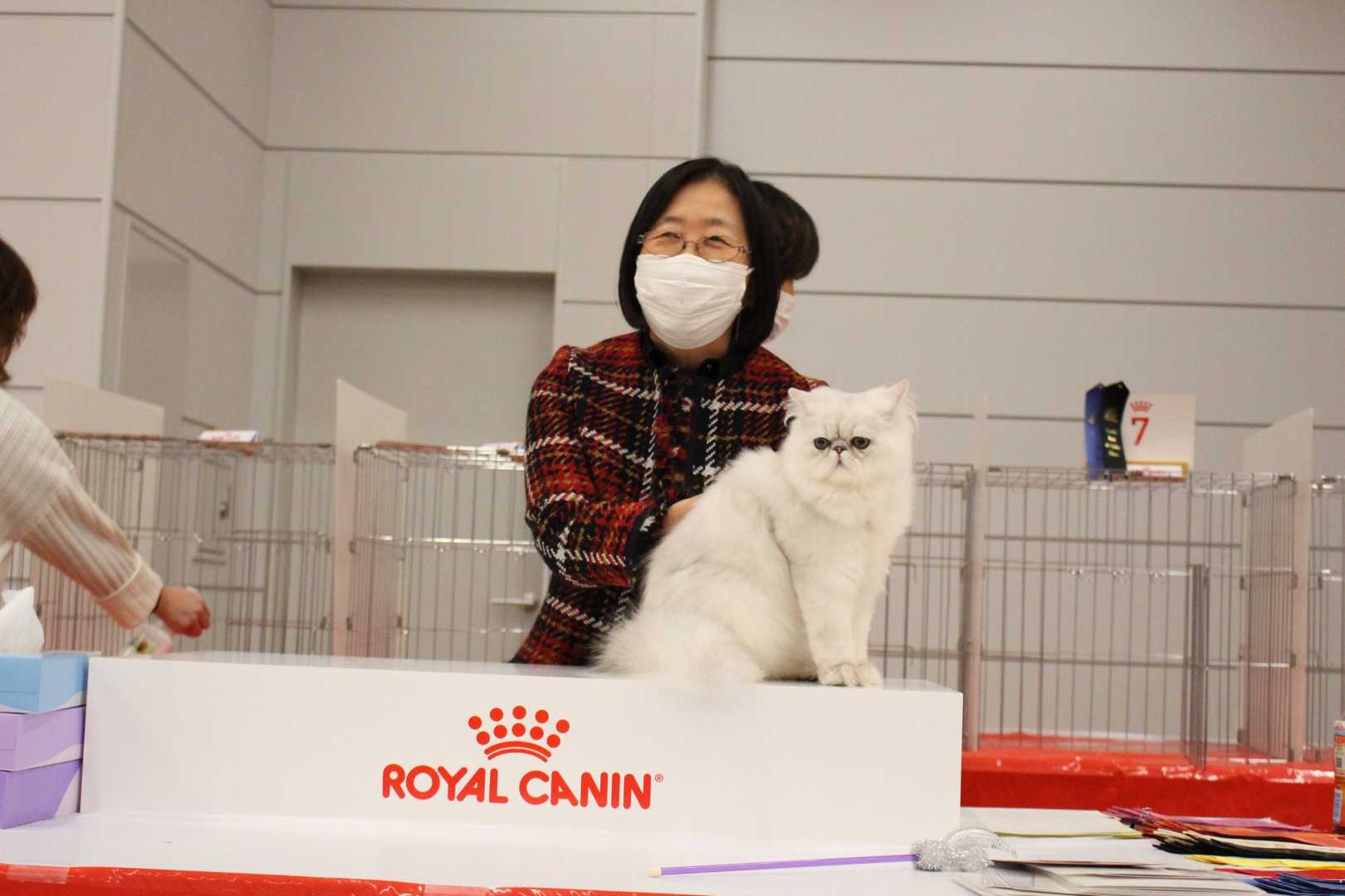 CFA JAPAN REGIONAL CAT SHOW Cattery PETITANGEのブログ 楽天ブログ