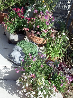 DSCF2123.jpg