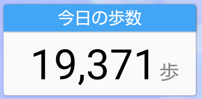 2024春のお花見散歩_万歩計