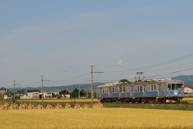 稲刈り作業と  弘南鉄道2