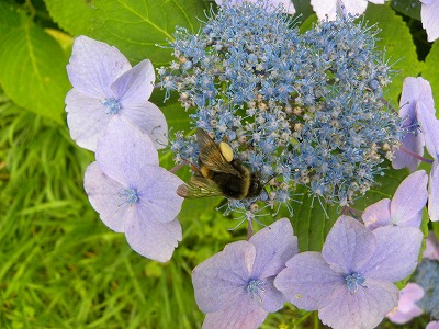 DSCN9639.jpg