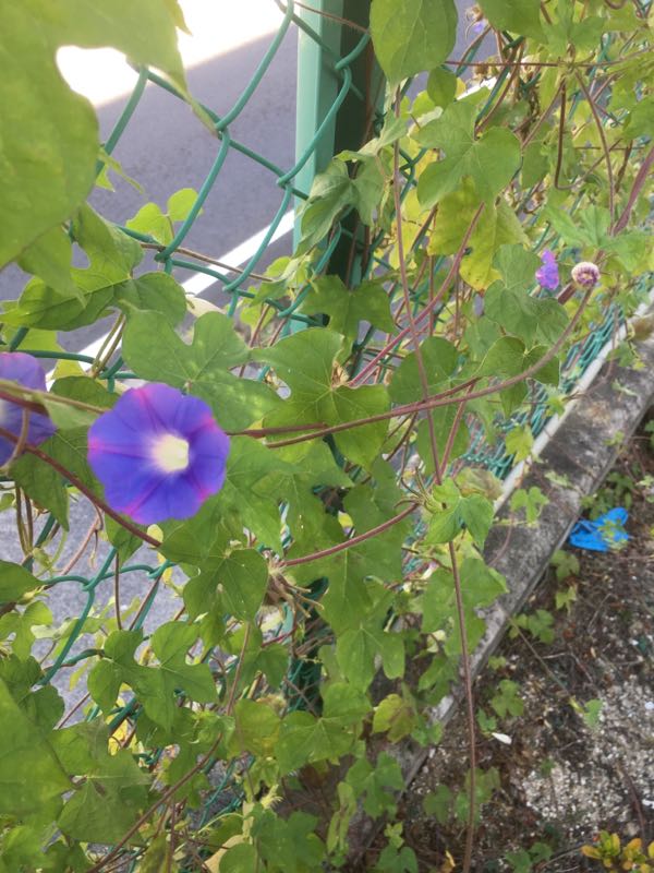 rblog-20160902065329-03.jpg