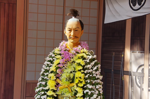 湯島天神菊まつり