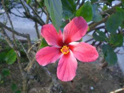 PICT0034.JPG